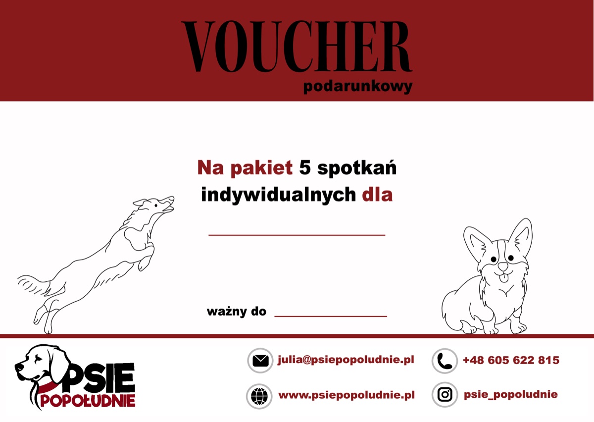 Voucher podarunkowy na pakiet 5 spotkań indywidualnych – wzór luzacki
