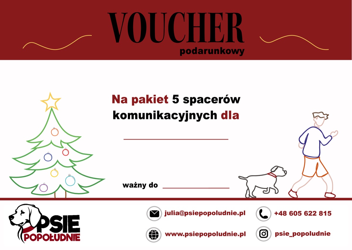 Voucher podarunkowy na pakiet 5 spacerów komunikacyjnych – wzór świąteczny